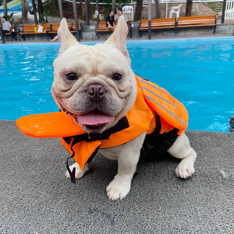 Reflective Dog Life Jacket Dog Swimming Suit French Bulldog