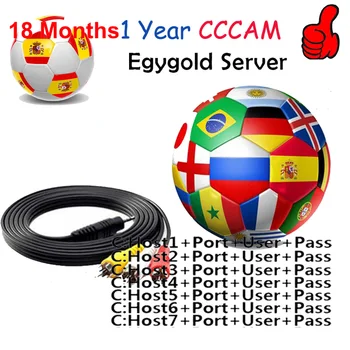 

Cccam 7 lines Full HD for 1 Year Spain Poland Portugal for Europe lines Use for Gtmedia V8 NOVA V9 Server Stable Satellite Cccam