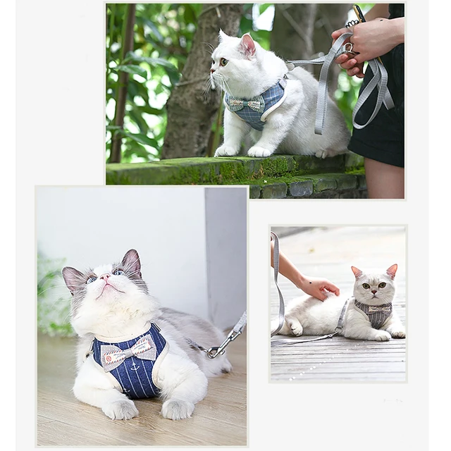 Bowknot Cat Harness and Leash Set Adjustable Puppy Harness Cat Lead Leash Clothes Vest Nylon Mesh Kitten Collar Cat Accessories 6