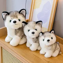 

New Adult Children's Kawaii Simulation Husky Doll Plush Toys Pillow Erhu Dog Children Birthday Gift Soft Toy Genshin Impack