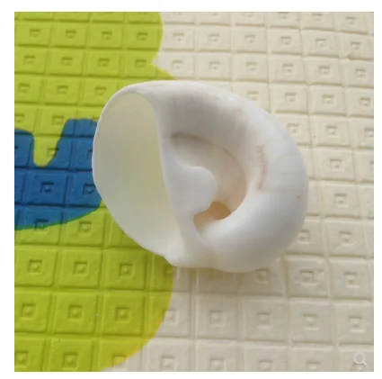 Естественные ракушки белый улитка аквариум украшения concha schelpen подарки decoracao fundo do mar