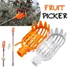 1PC Plastic Fruit Picker Pole Fruit Orange Apple Plum Pear Peach Catcher Picker Basket Gardening Farm Garden Picking Tool ► Photo 1/6