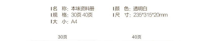 M&G Flavor Series Info Booklet 40/100 Page Transparent Simple Folder Desktop Storage Office 95157