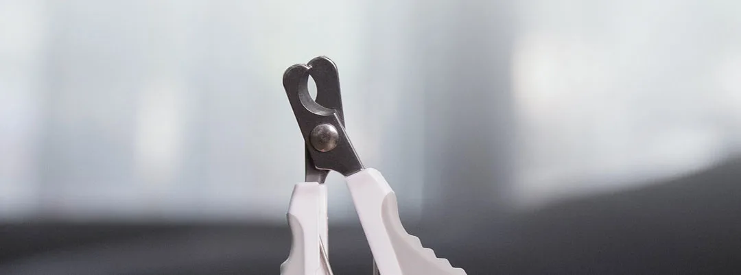 Xiaomi Mijia Pet косая машинка для стрижки ногтей из нержавеющей стали с замком уход за косой кошкой ножницы для ногтей кусачки для ногтей товары для домашних животных