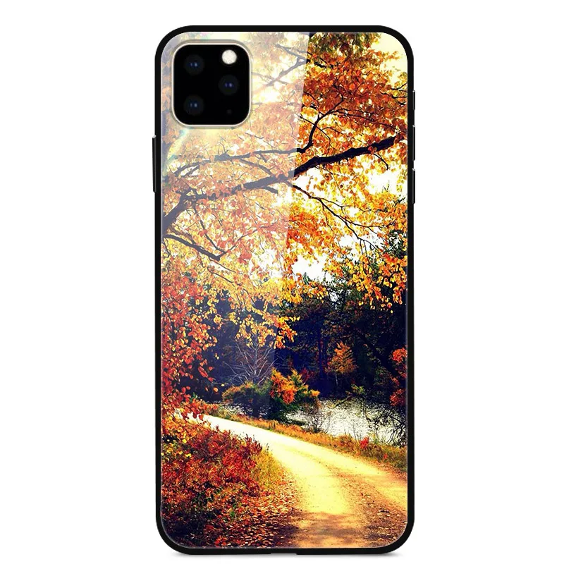 Закаленное стекло Чехол для iPhone 11 Pro чехол Жесткий ПК Красочный чехол для iPhone 11 11Pro Max Бампер Чехол для телефона iPhone11