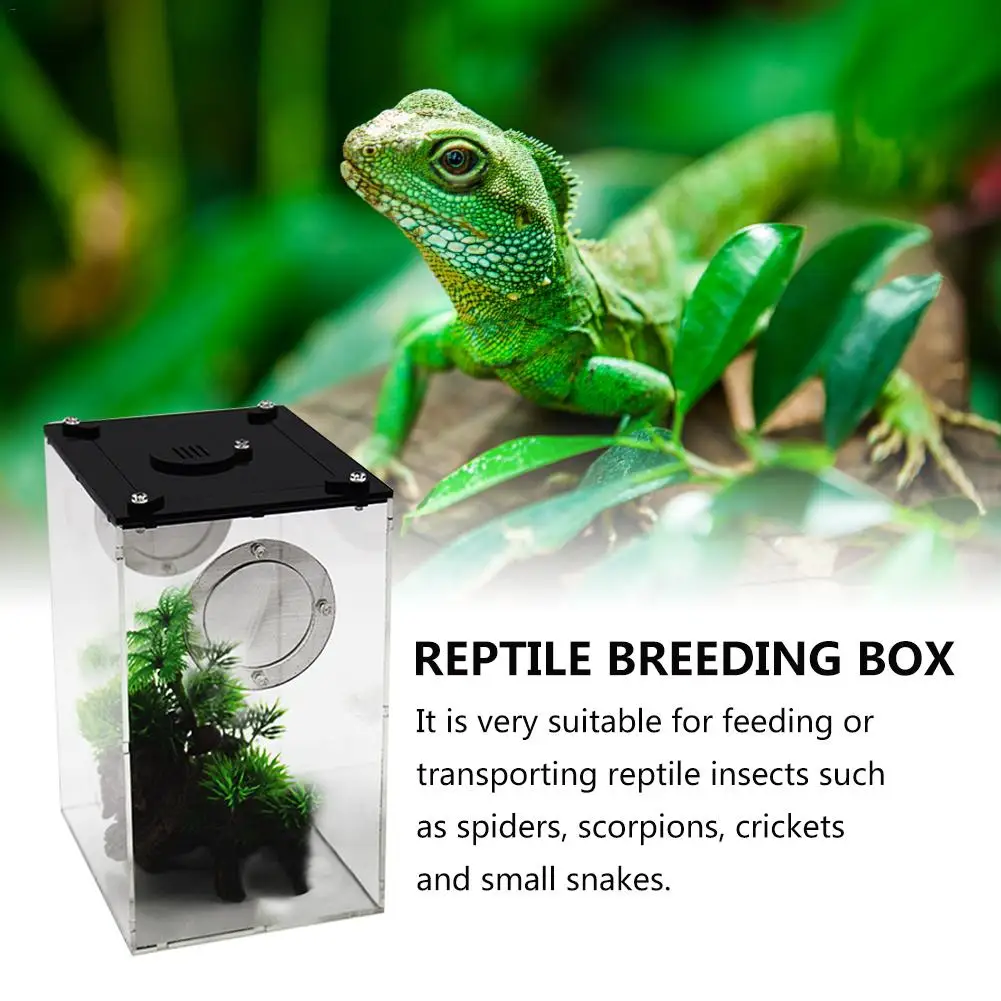 Коробка для кормления рептилий прозрачная панорама коробка для разведения насекомых змея паук ящерица Скорпион акриловая коробка для кормления