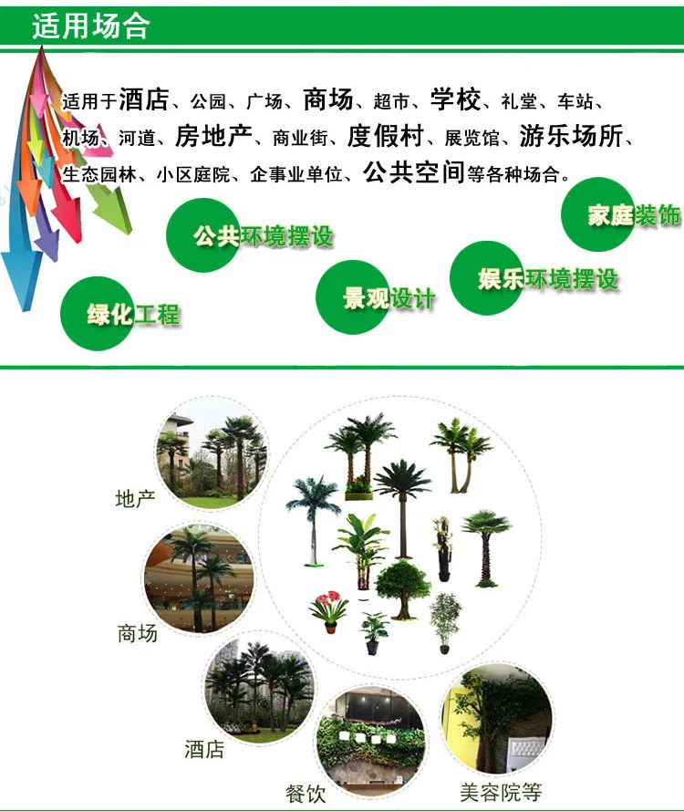 2989936769_1438068734