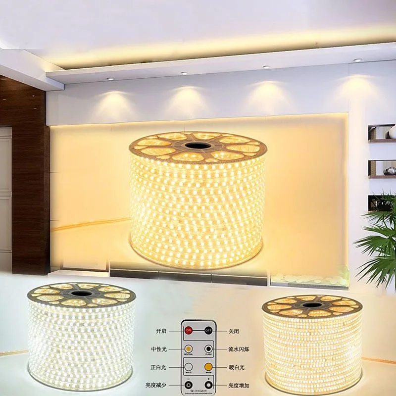 buy 100m lot Dimmable LED Strip Lighting SMD 2835 120leds m 220V Flexible Light Tiras Led Tape Waterproof Ip67 Remote Controller