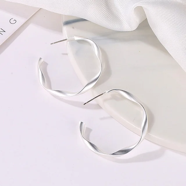 Новые модные геометрические круглые серьги-кольца в стиле панк витой золотой цвет для женщин Brincos вечерние ювелирные изделия высокое качество - Окраска металла: Silver 1