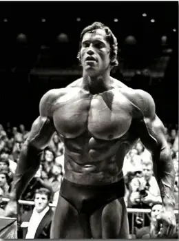 

Arnold Schwarzenegger Bodybuilding Motivational Art Silk Poster Print Fitness Inspirational Picture for Room Wall Decor