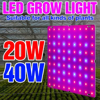 

Vegetables Grow Lamp LED Plant Light US EU UK Plug Indoor Flower Seed Growing Lamp LED Full Spectrum Plants Seedlings Lighting