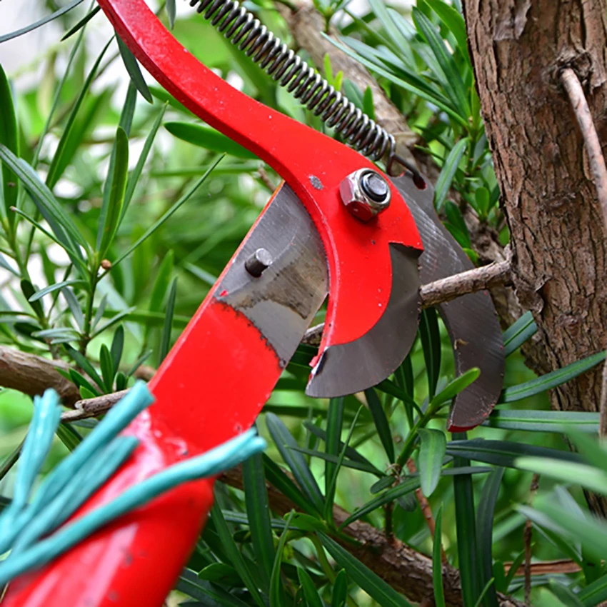 Высокая высота секаторы дерево триммер ветки резак садовые ножницы для обрезки pick фруктовый инструмент с веревкой полезные ножницы