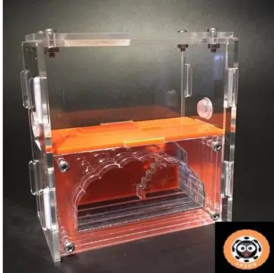 orange Ампир S муравьи гнездо двухслойные клетки для насекомых дети научный класс устройство Игрушка Мини ферма для домашних животных муравьи дом мания 3 цвета - Цвет: orange