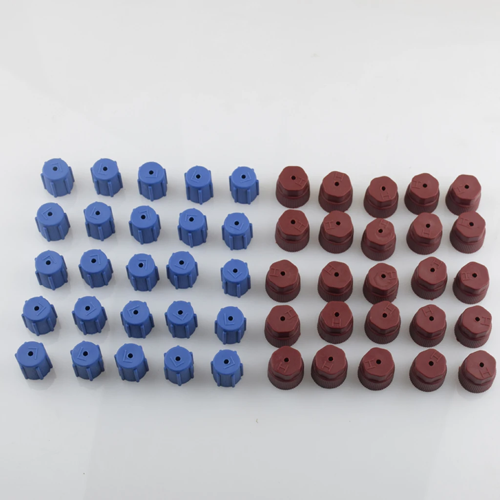 50 Pieces AC A/C Charging Port Service Caps R134a R12 13mm & 16mm Red Blue
