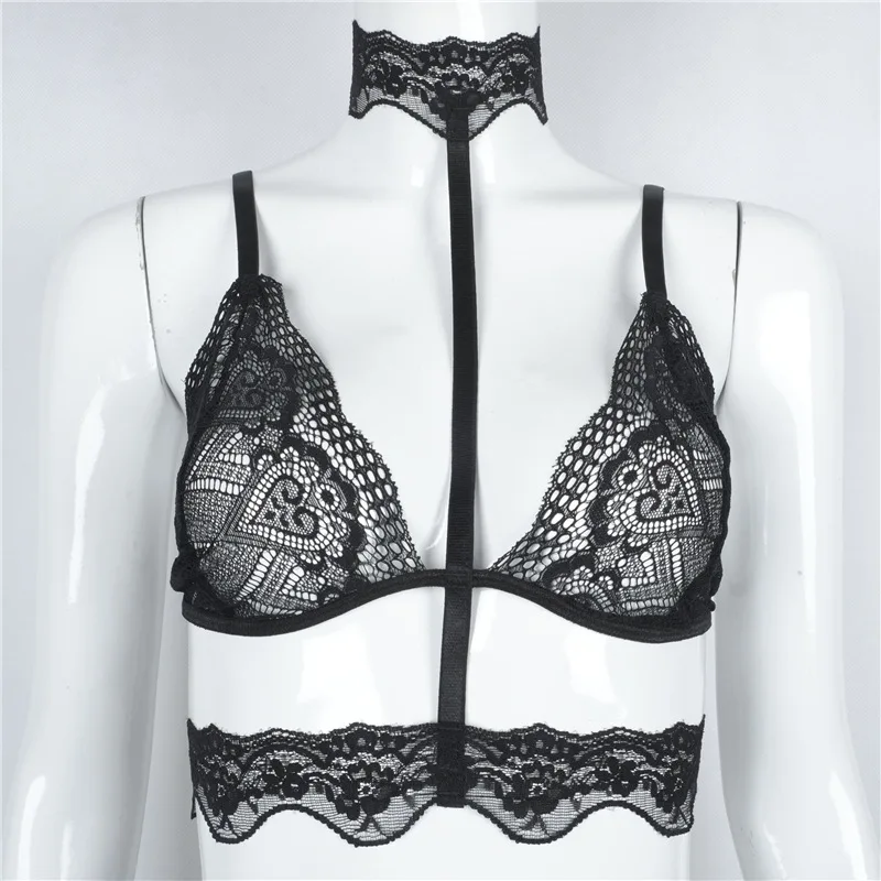 3987009727_823320564