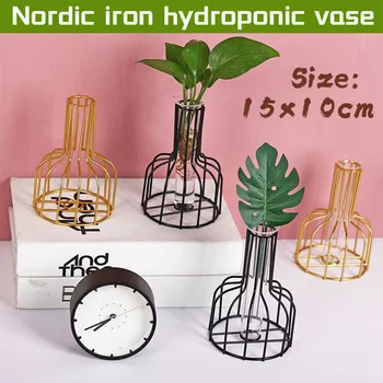 

Nordic Glass Vase with Iron Stand Hydroponic Plant Flower Vase Bottle Tabletop Coffee Shop Office Home Decoration Simple Modern