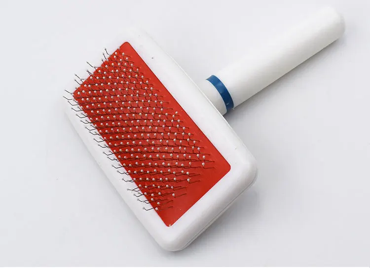 11019285697_915075906