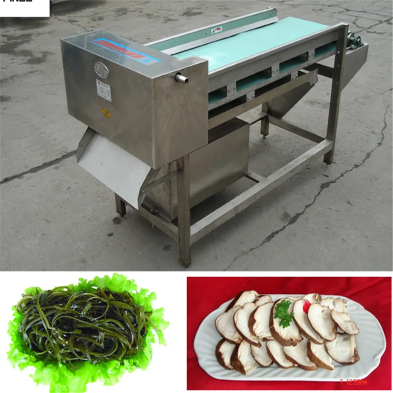 Mushroom Slicer Machine, Advanced Mushroom Cutting Machine