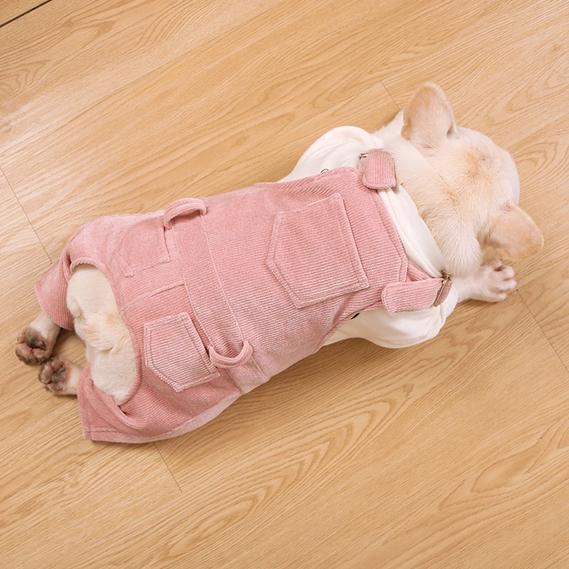 Girl dog jackets Clearance