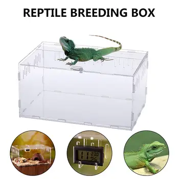 

Acrylic Terrarium Spider Breeding Box Reptile Feeding Box For Climbing Pet Terrarium Snake Spider Lizard Scorpion Centipede