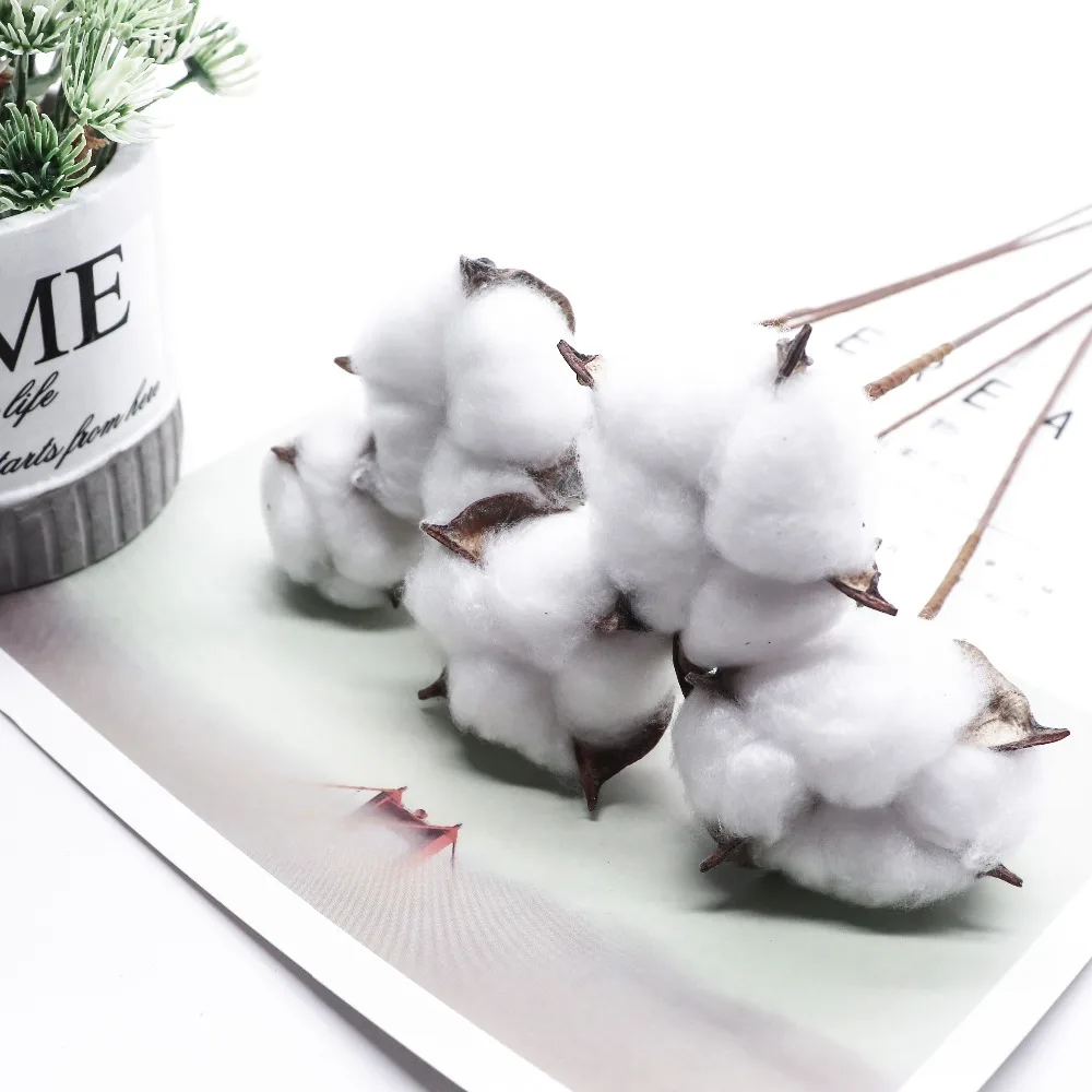 5Pcs-Artificial-Flower-Kapok-Cotton-Head-for-Wedding-Christmas-Home-Decoration-DIY-Craft-Wreath-Scrapbook-Natural(2)