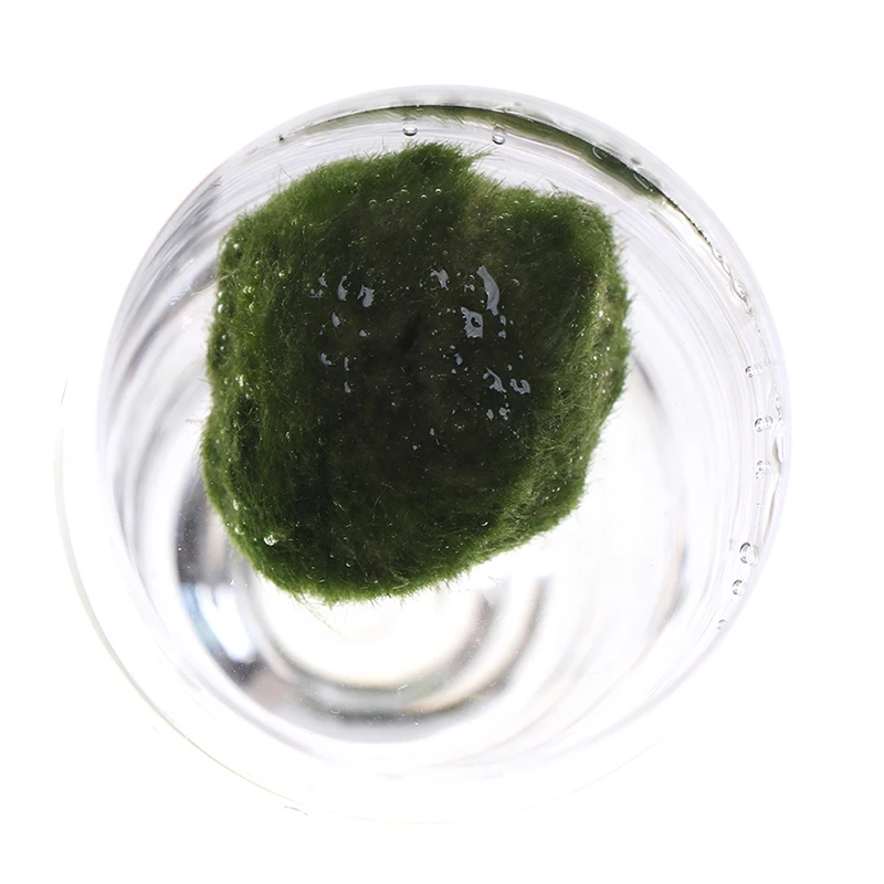 Comme pic - Boule de mousse Marimo 2CM-5CM, fausse pierre, Simulation ...