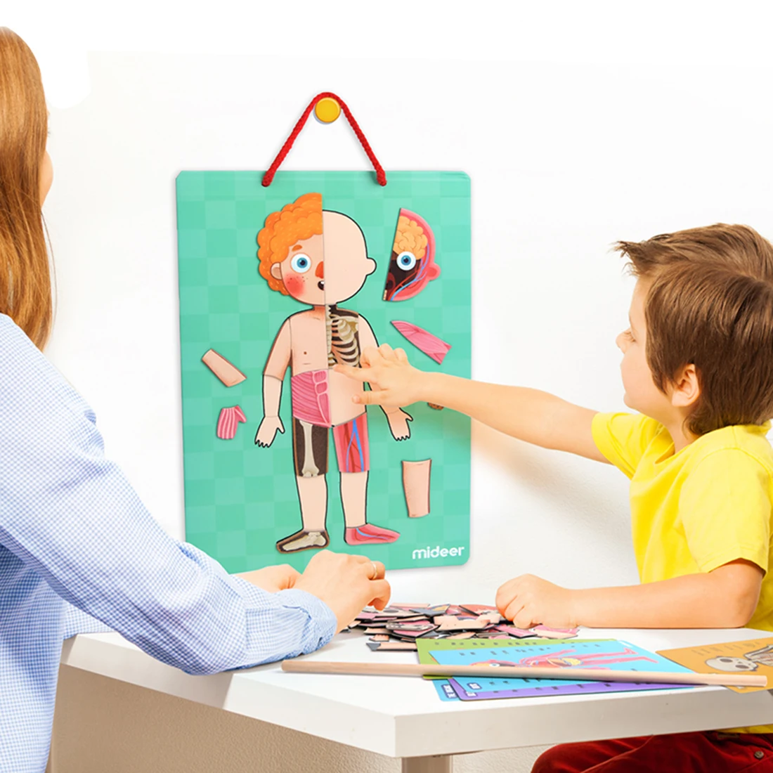 

Chidren Learning Early Educational Human Body Cognitive Puzzle Science Toy Kids Christmas Gift 2019