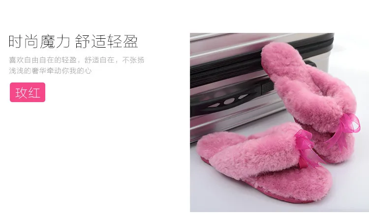 3145738598_1214573647