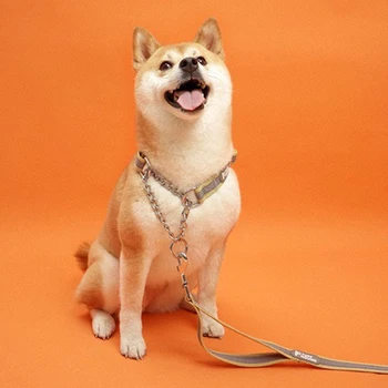 

dog collar Pinch Collar dog accessories dog leash dog dog supplies chihuahua dogs pets accessories cat collar pitbull collar dog