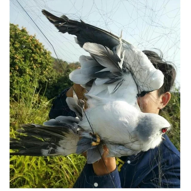 3X15M/Megakadályozzák A Nagy Madárhálókat, Erdővédőhálókat, Gyümölcsgazdálkodók Nem Ártanak Madaraknak, Az Ültetvényvédő Madárhálóknak - Image 2