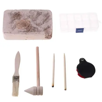 

Drop Shop. 8 Pcs Gemstone Excavate Kit for Children's Educational Toy Specimen Science Gift