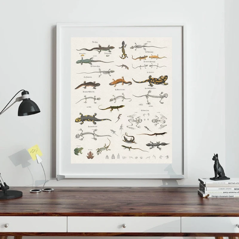 Lizard-Chart-Prints-Reptiles-Natural-History-Educational-Poster-Classroom-Decor-Animal-Zoology-Art-Canvas-Painting-Picture (1)
