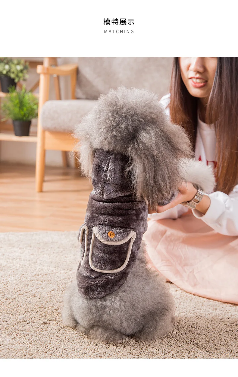 Autumn Winter Casual Style Pet Dog Clothing Comfortable Warm Fashion Hoodie Teddy Schnauzer Pomeranian Bichon Small Dog Costumes