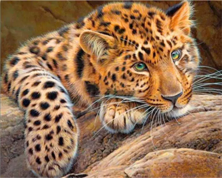 Diamond Embroidery Painting 3D Full Drill Mosaic Cross Stitch Pasted DIY Home Decora Craft animal leopard | Дом и сад