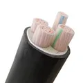 Electric wire Store