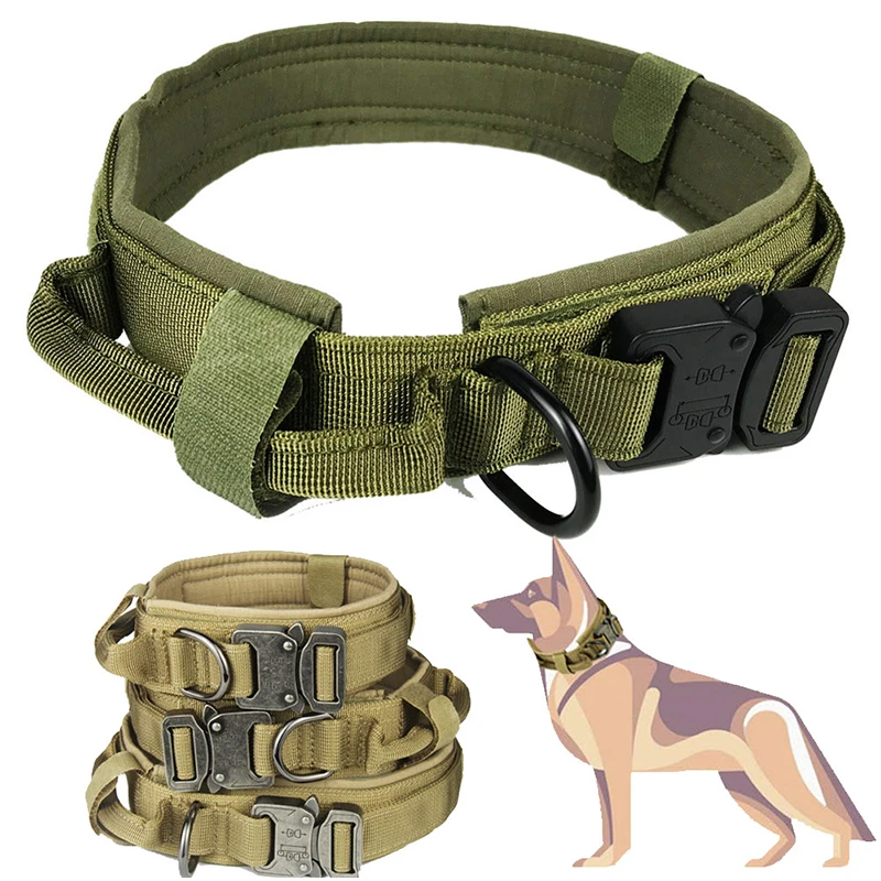 tactical training for dogs