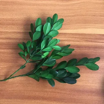 

10~20CM/50g Dried Natural Flowers Mini Preserved Plant Buxus Sinica Bouquet,Eternelle Boxwood,DIY Flowers Decoration Material