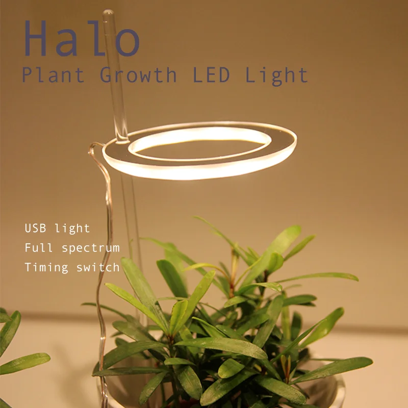 Ring Plant Growth Light USB 5V Landscape Lighting Indoor Plants and Bonsai Flowers | Лампы и освещение