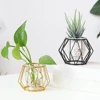 Geometric Metal and Glass plant holder 5