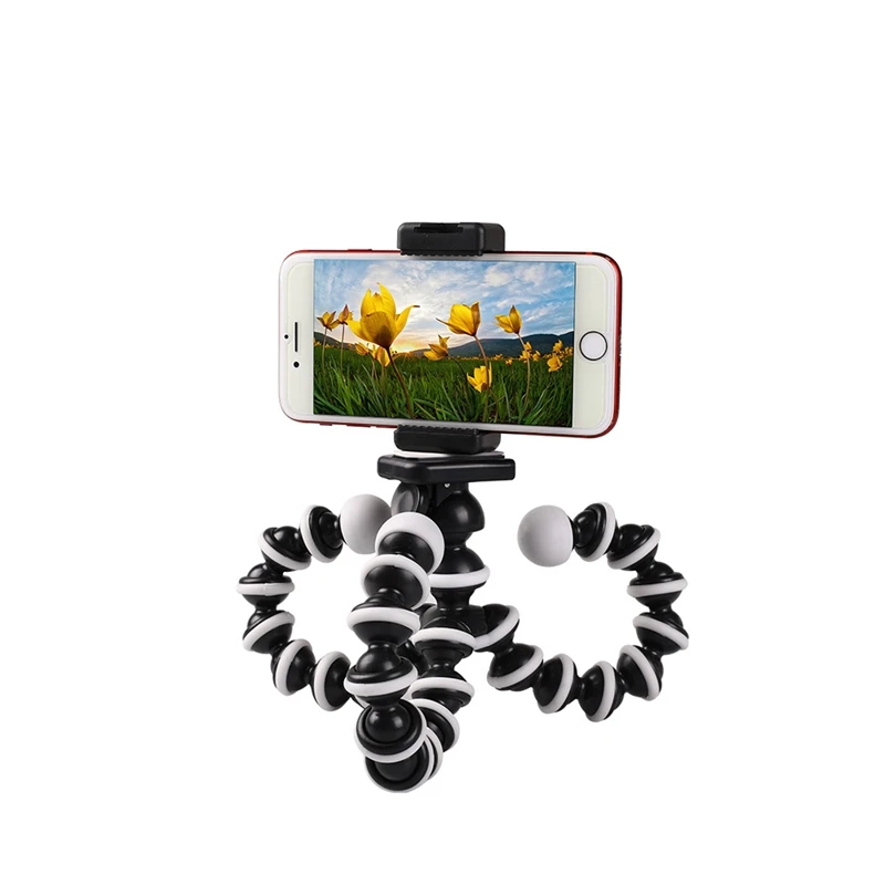 10371410545_1639077513