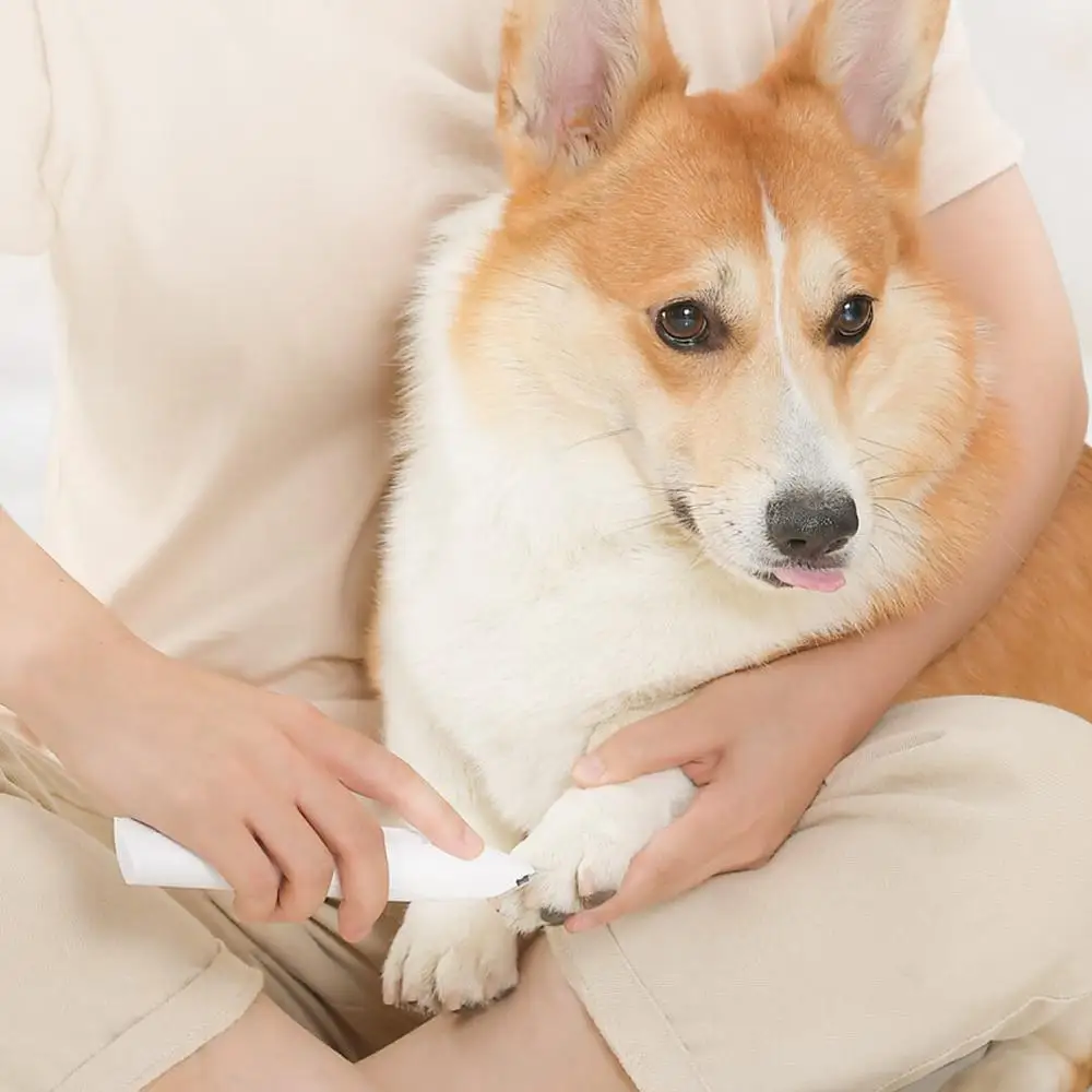 New-Xiaomi-Pawbby-Dog-Cat-Local-Shaver-Hair-Trimmer-Pet-Grooming-Tool-Electrical-Shearing-Cutter-Dog