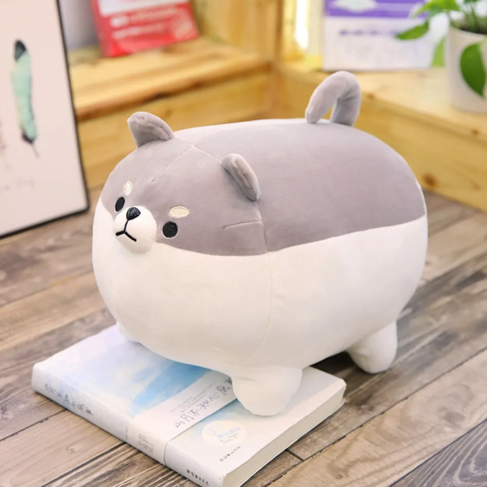 2 拷贝
