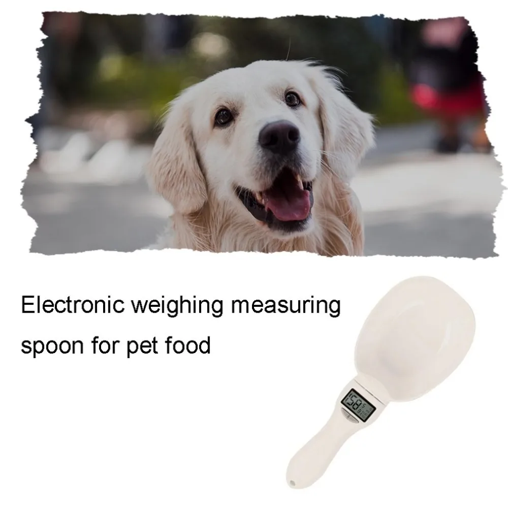 JD1368700-C-20061603-1