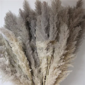 

1PC Large Reed Branch Natural Dried Flower Plants DIY Home Party Wedding Scene Layout Photo Props Supplies