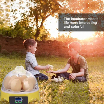 

Hatching Chicken Bird Incubator Eggs 7 Eggs Rack Machine Automatic Intelligent for Household Animal Chicken Decoration