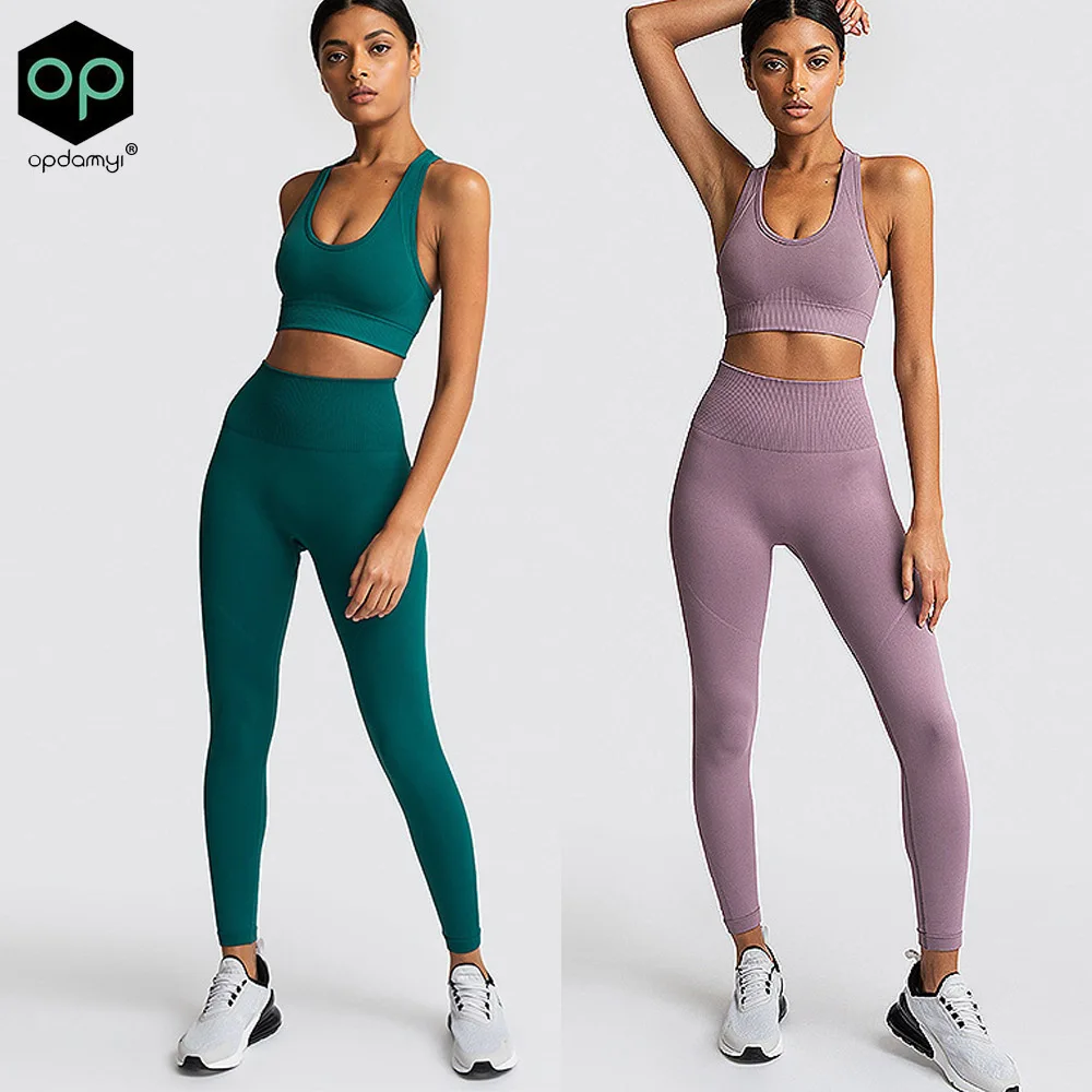 2 Piece Set Women Tracksuit Seamless Yoga Suits Dense Fabric Fitness Gym  Clothing Sports Bras Leggings Workout Clothes For Women - AliExpress