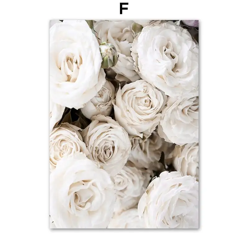 Wall-Art-Canvas-Painting-Bloom-Peony-Rose-White-Flowers-Garden-Nordic-Posters-And-Prints-Wall-Pictures (8)