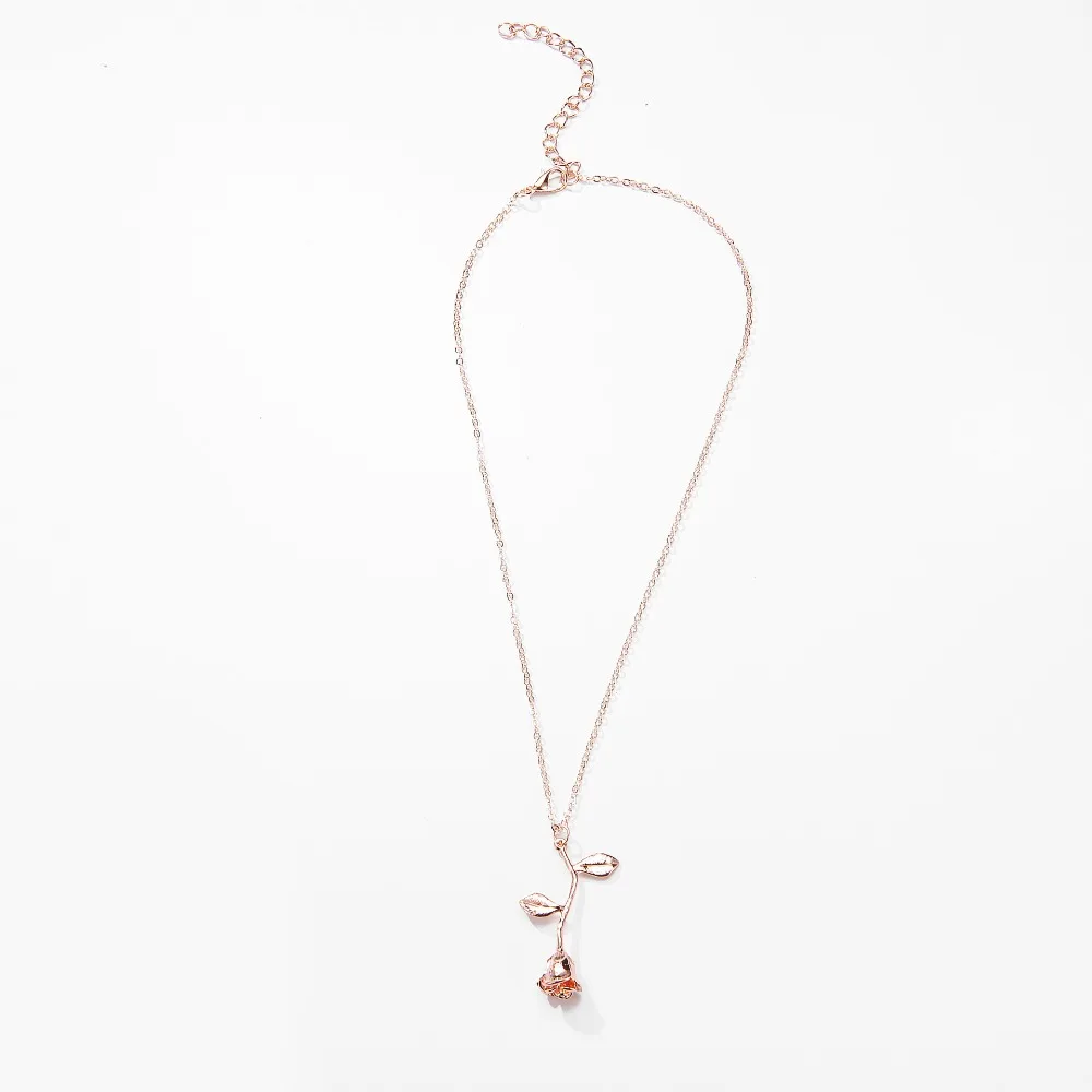 5027475466_1015242489