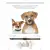 Digoo DG-PPT1 Rechargeable Electronic Dog Collar Dog Trainings Beep/Vibration/Static Stimulation Stop Barking 330 Yds ALL Size