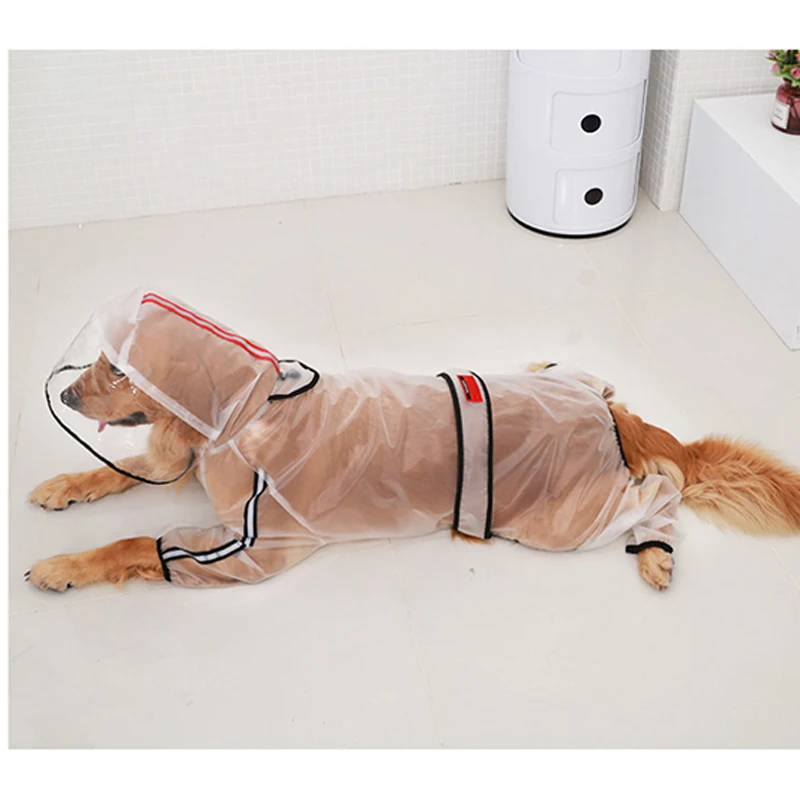 Köpek yağmurluk